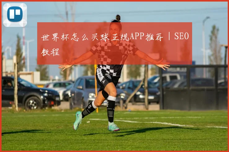 世界杯怎么买球正规APP推荐｜SEO教程