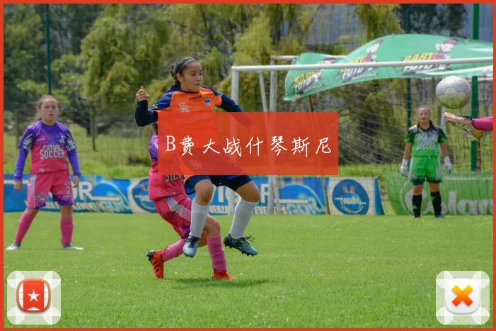 B费大战什琴斯尼