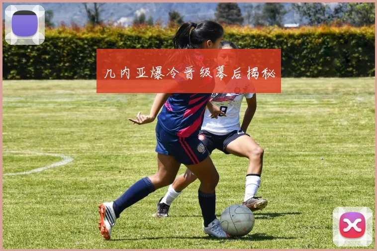 几内亚爆冷晋级幕后揭秘