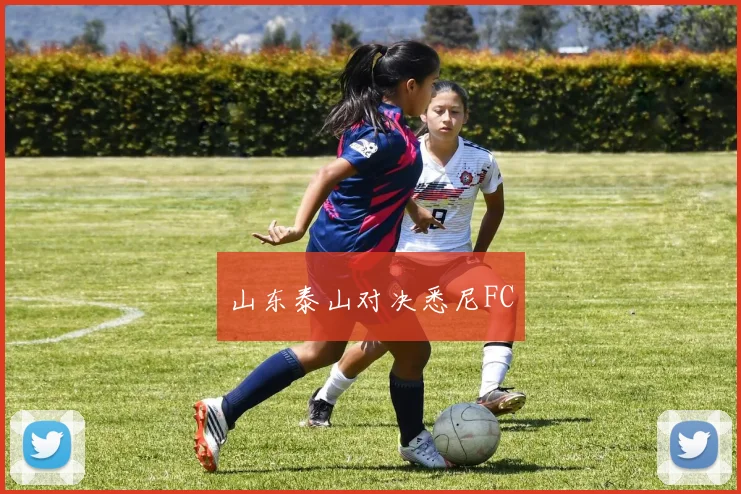 山东泰山对决悉尼FC