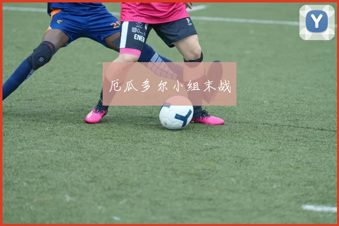 厄瓜多尔小组末战