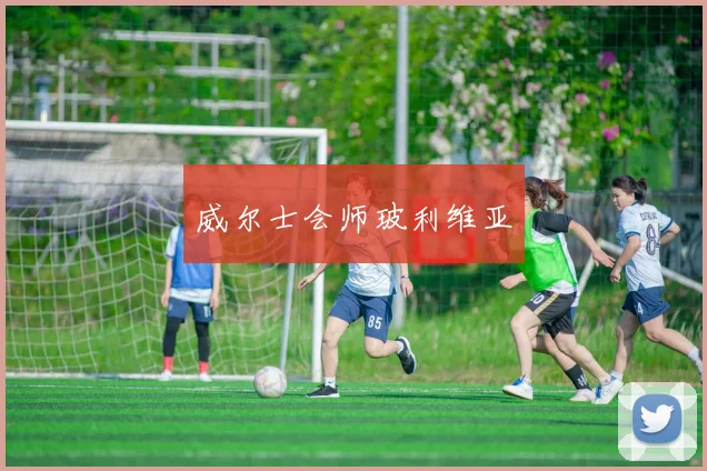 威尔士会师玻利维亚